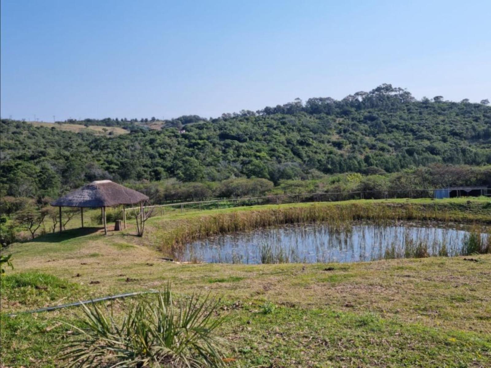 Lilitha Boutique Farm Lodge in East London