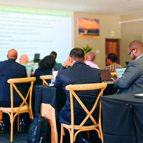 Lilitha conference presentation